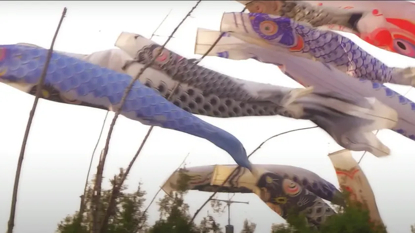 映画「JUN AI」の象徴的シーン「こいのぼり」、多くの人々の心を動かす本作品の代表的シーン