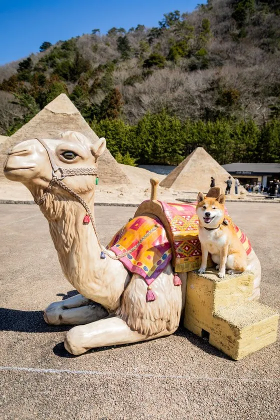 東武ワールドスクウェアのエジプトゾーンの風景