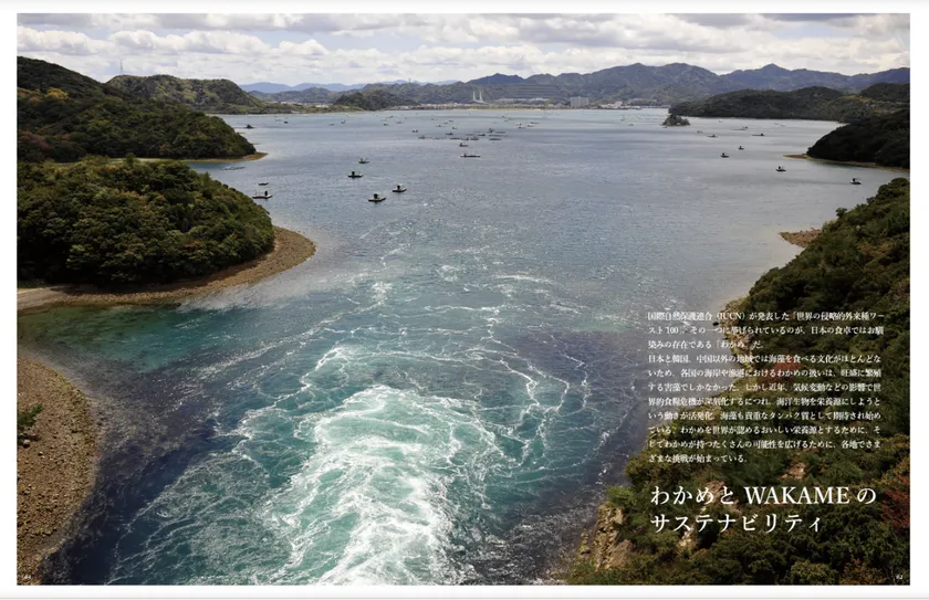 SUS-UP！書籍版の特集ページイメージ