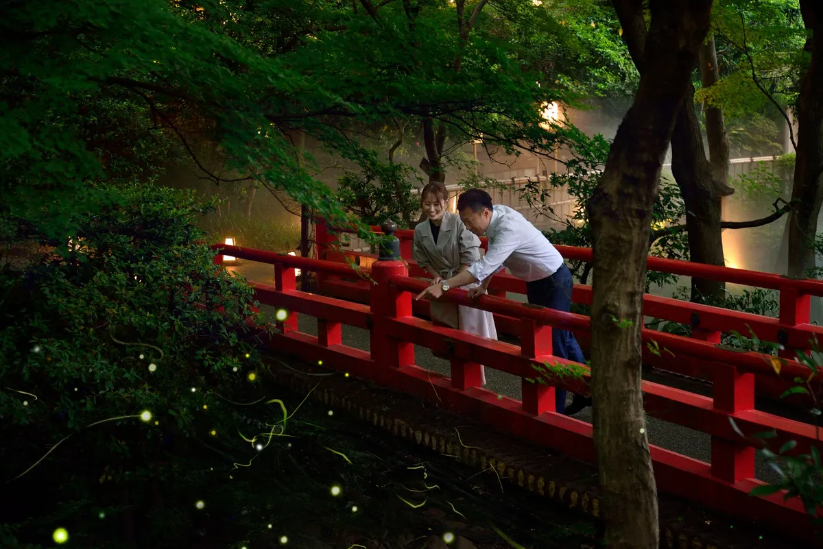 1日3組限定宿泊プラン プライベートホタルナイトのイメージ