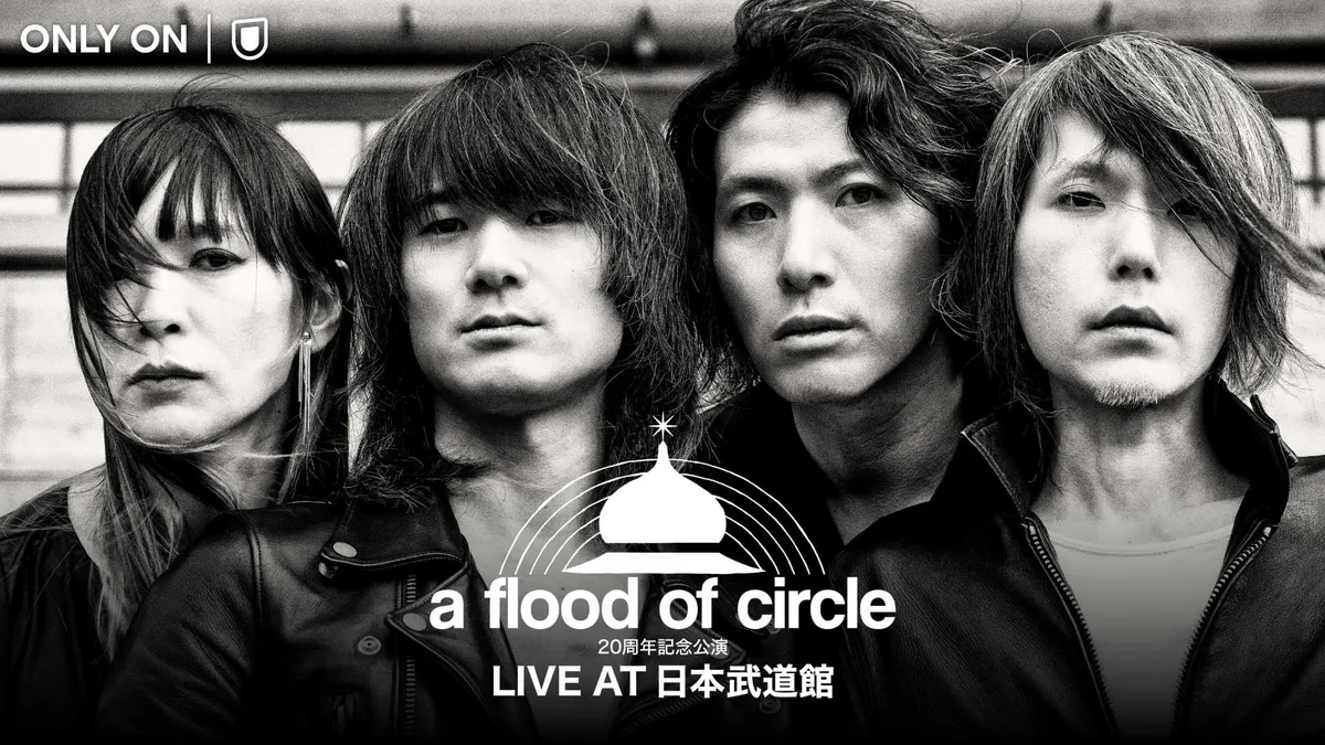 20周年を記念したa flood of circleのライブイメージ