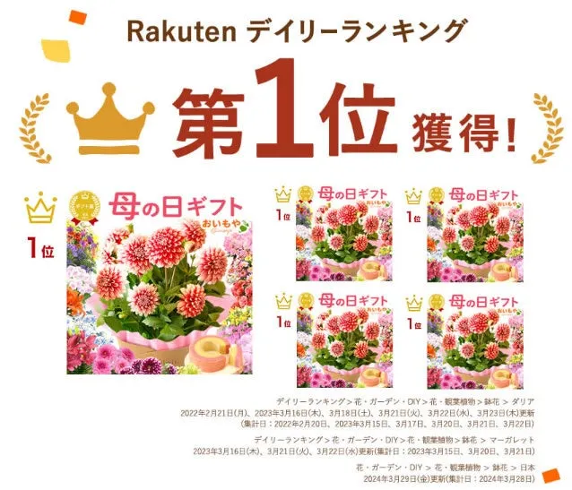 昨年約15000鉢が完売したおいもやの母の日花ギフト