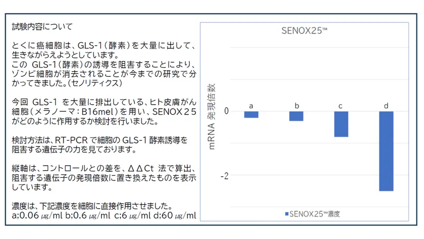 SENOX25に関する試験グラフ