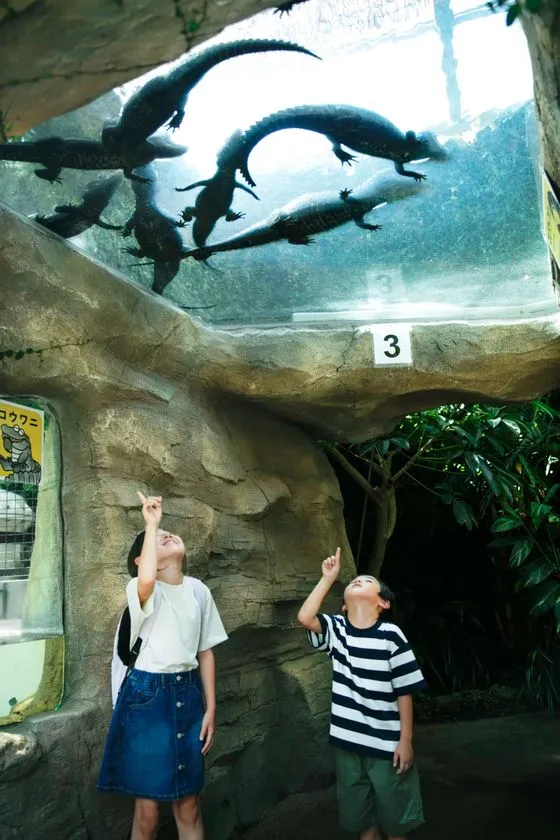 熱川バナナワニ園の園内風景