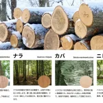 森の循環を映す床材！ イクタ エアー・ウォッシュ・フローリング 銘木フロアーラスティック MEGURI