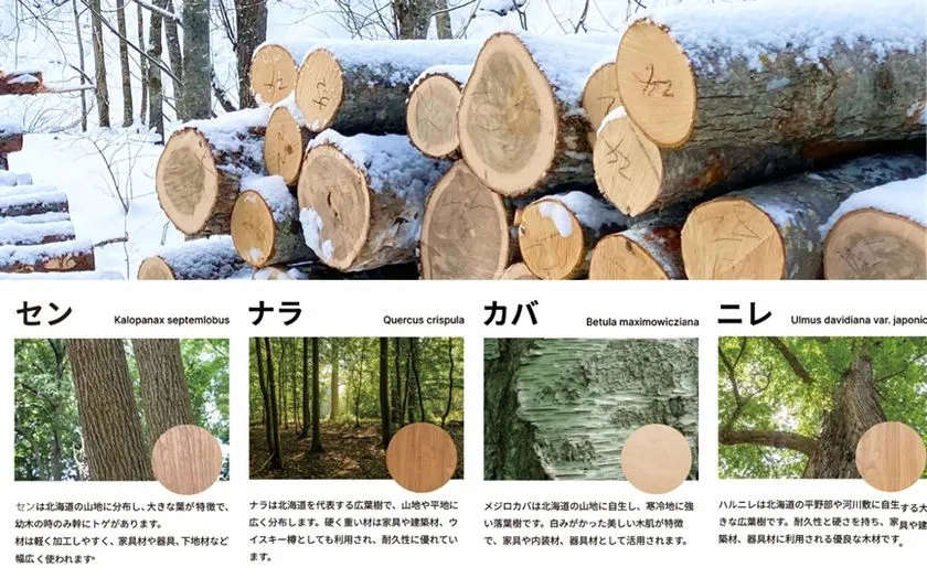 森の循環を映す床材！ イクタ エアー・ウォッシュ・フローリング 銘木フロアーラスティック MEGURI