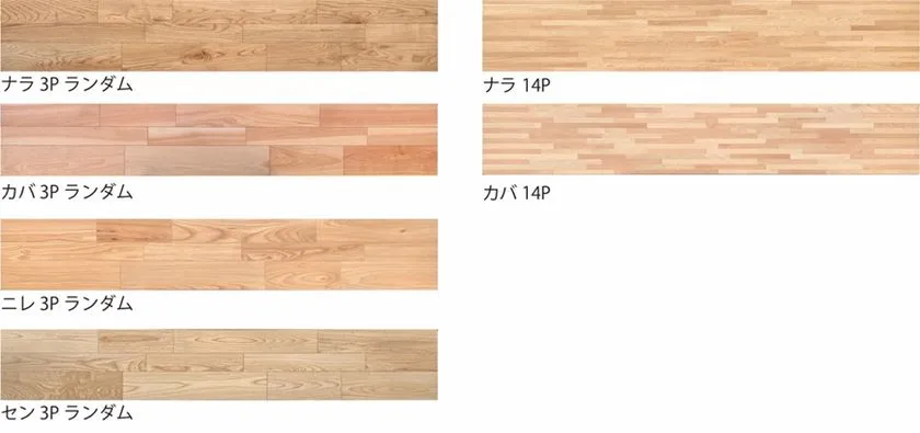 ナラやカバなど6種類のラインナップ