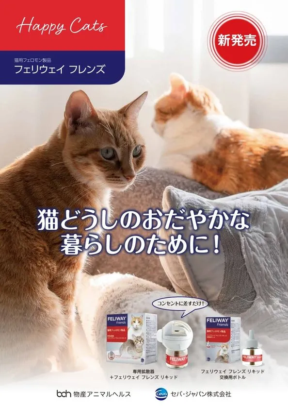 猫どうしのおだやかな暮らしのためにと伝えるビジュアル
