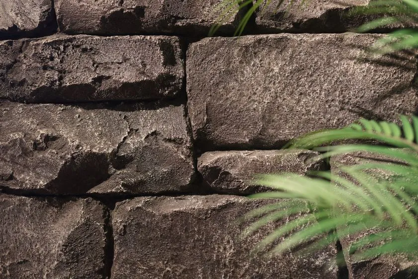 左官技術を生かしたモルタル造形の壁面