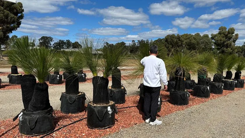 オーストラリア・パースで希少植物を買い付ける様子