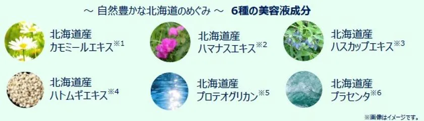 北海道産6種の美容液成分（カモミールエキス・ハマナスエキス・ハスカップエキス・ハトムギエキス・プロテオグリカン・プラセンタ）を各植物・原料写真付きで一覧した成分紹介インフォグラフィック