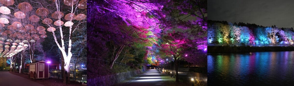 アンブレラと四季の道のライトアップ
