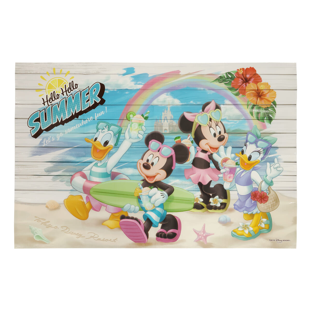 レジャーシート ケース