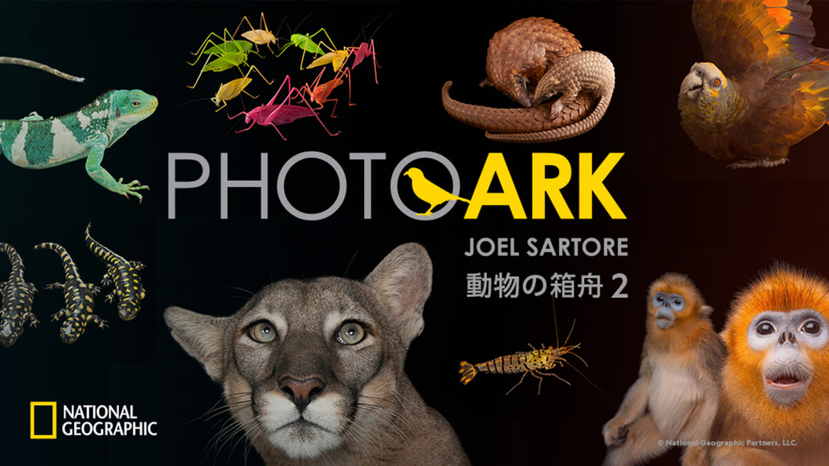 PHOTO ARK：動物の箱舟 2