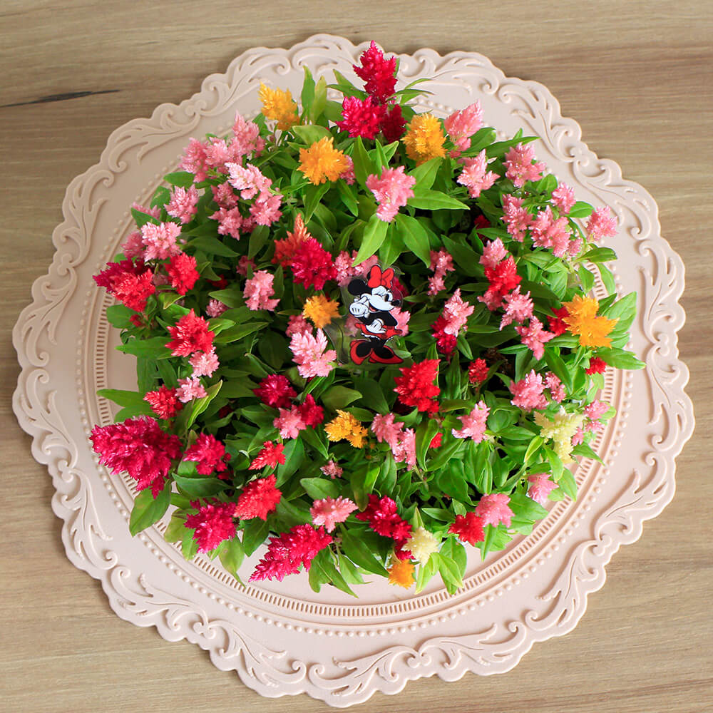 キャンドルケーキ/ミニーマウス　上部