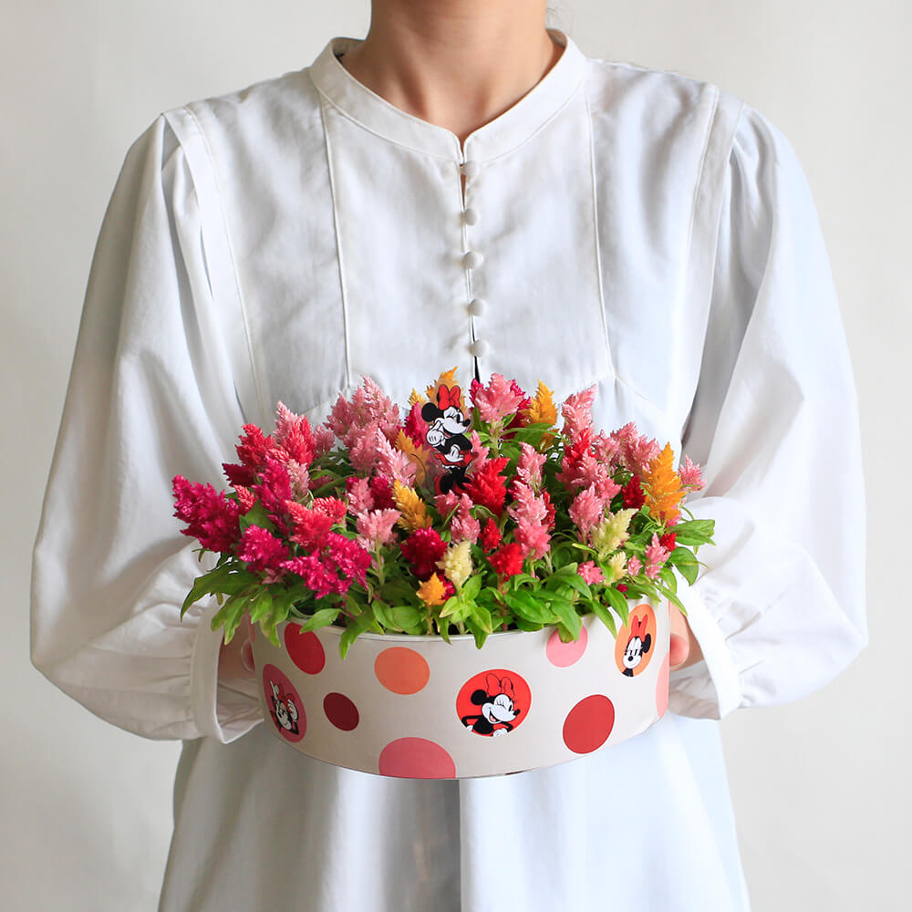 キャンドルケーキ/ミニーマウス　イメージ