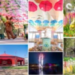 湖上花火＆ライトアップ