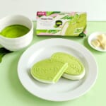 ハーゲンダッツ クリスピーサンド「ザ・グリーンティー」