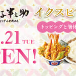 日本橋 稲庭うどんと丼めし 金子半之助 イクスピアリ店