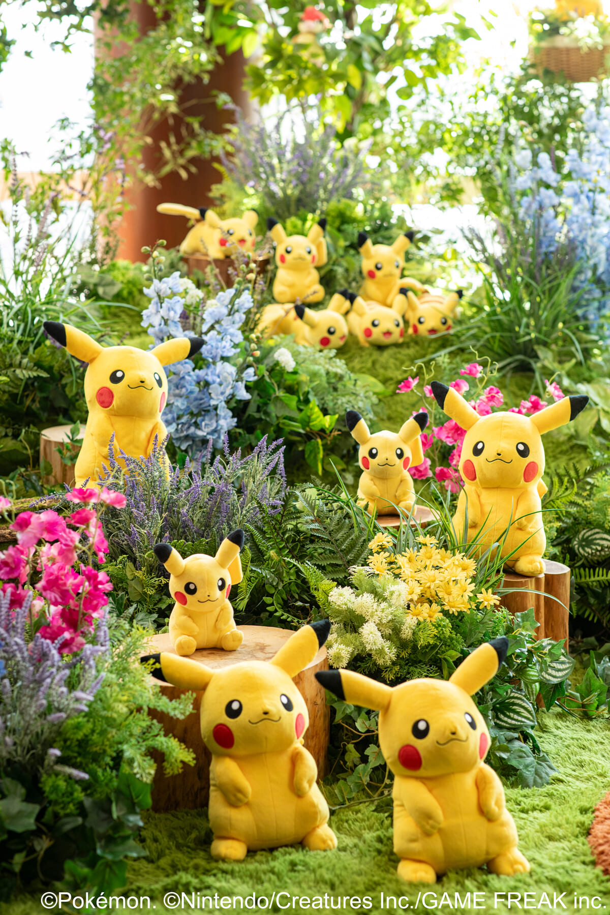 1日1室限定「ポケモン30周年コラボレーション グランド アドベンチャー スイートステイ」