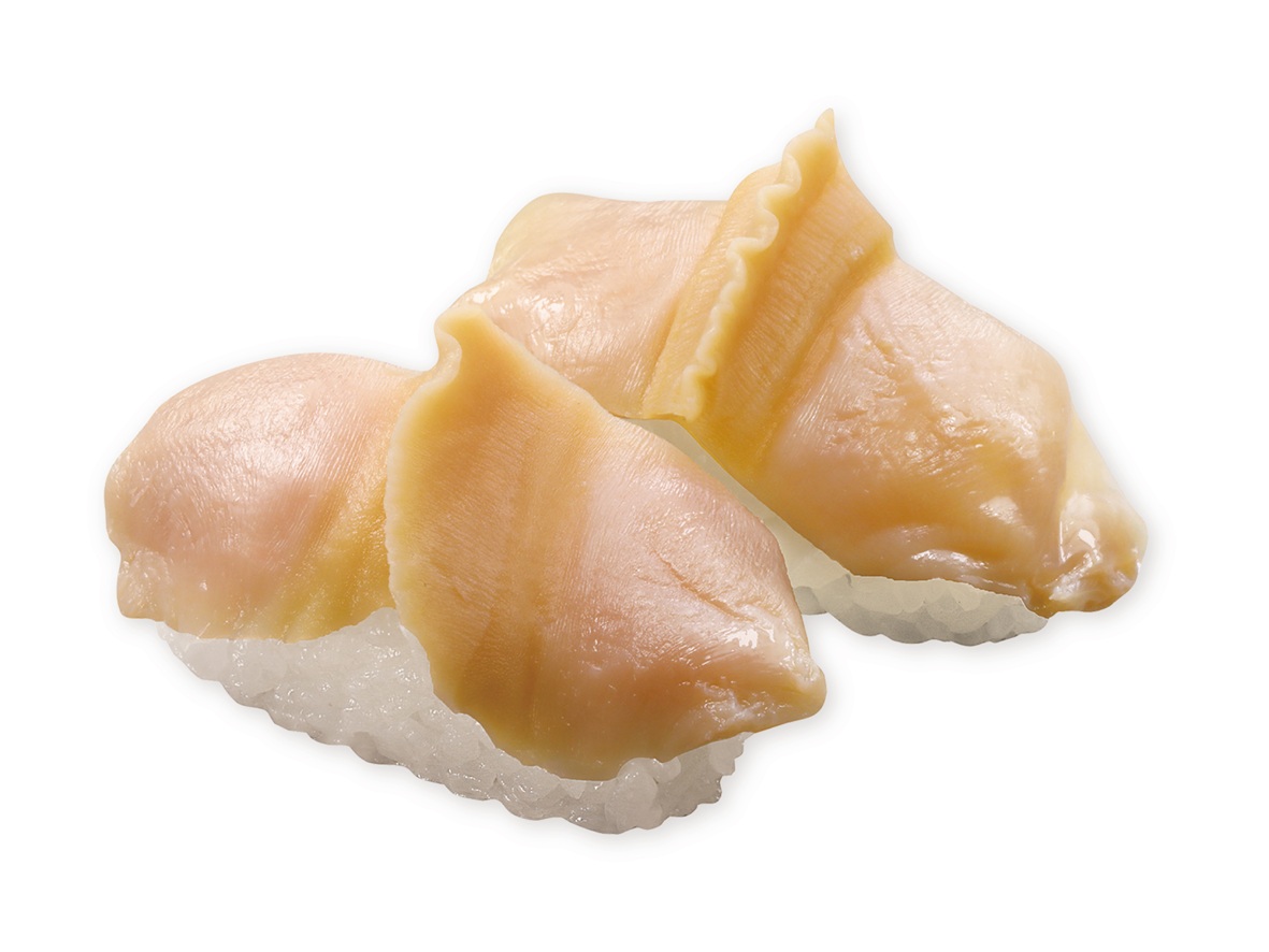 アイスランド貝（長寿貝）