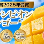 糖度16度以上、最短5日で到着！ 佐藤貿易 チャンピオンマンゴー