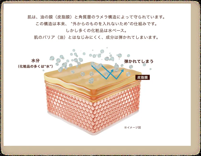 皮脂膜と角質層の断面イラストで水分成分が弾かれる仕組みを説明したnanoPDS技術の訴求図解、テキスト付き