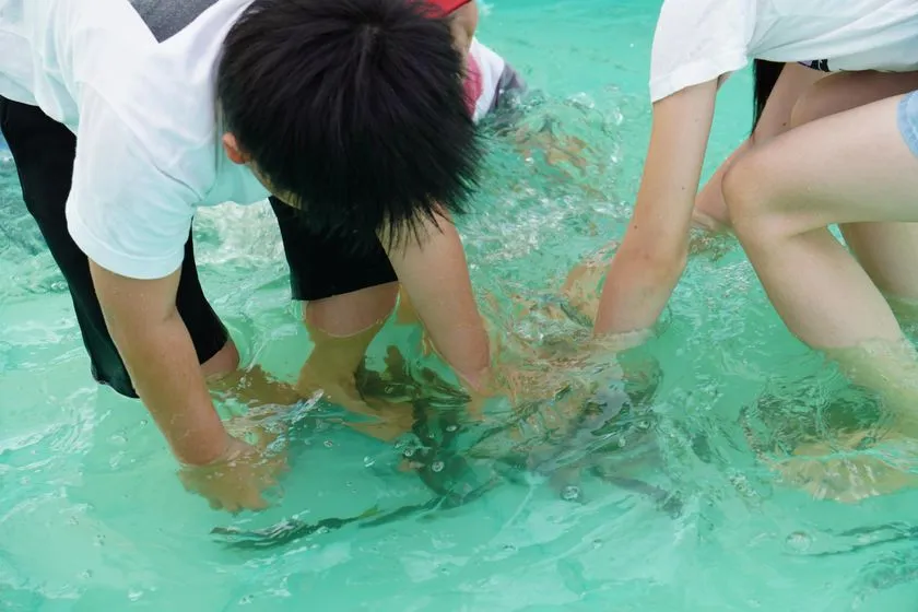 水槽内で子どもたちが素手で鮎を掴もうとしている鮎のつかみ取り体験の様子。水しぶきが上がり複数の参加者が水中に手を入れている