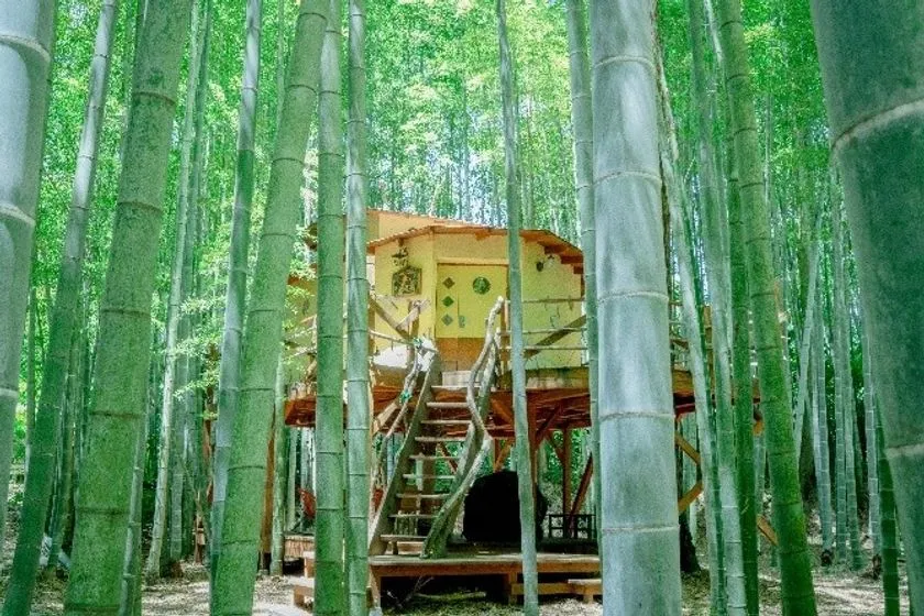 竹林に佇むロフト付きのツリーハウス「キリン庵」