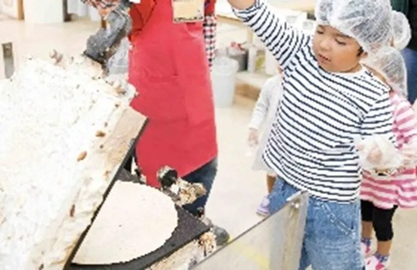 ヘアネットを着けた子どもたちが工場内でかきの加工体験をしている様子。赤いエプロンのスタッフとベルトコンベア上の牡蠣が写り、知多半島の海産物体験観光を示す