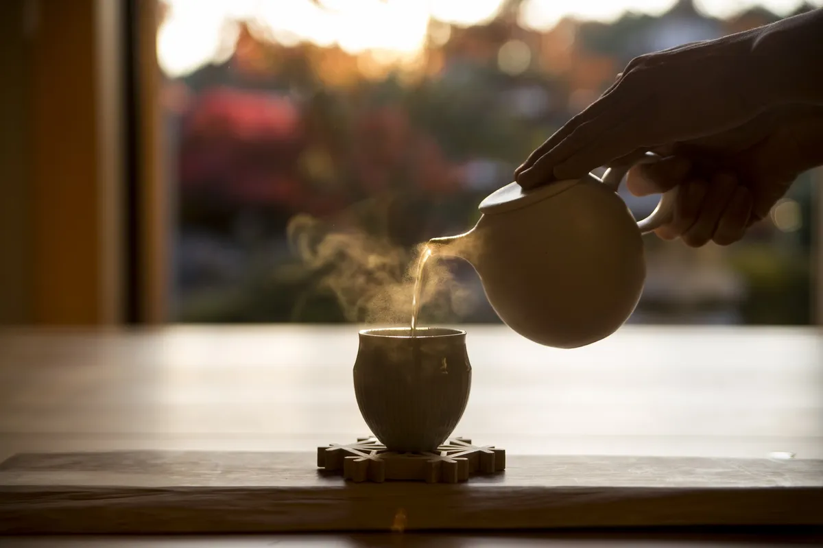 吉野産の煎茶と日干番茶の試飲販売会イメージ