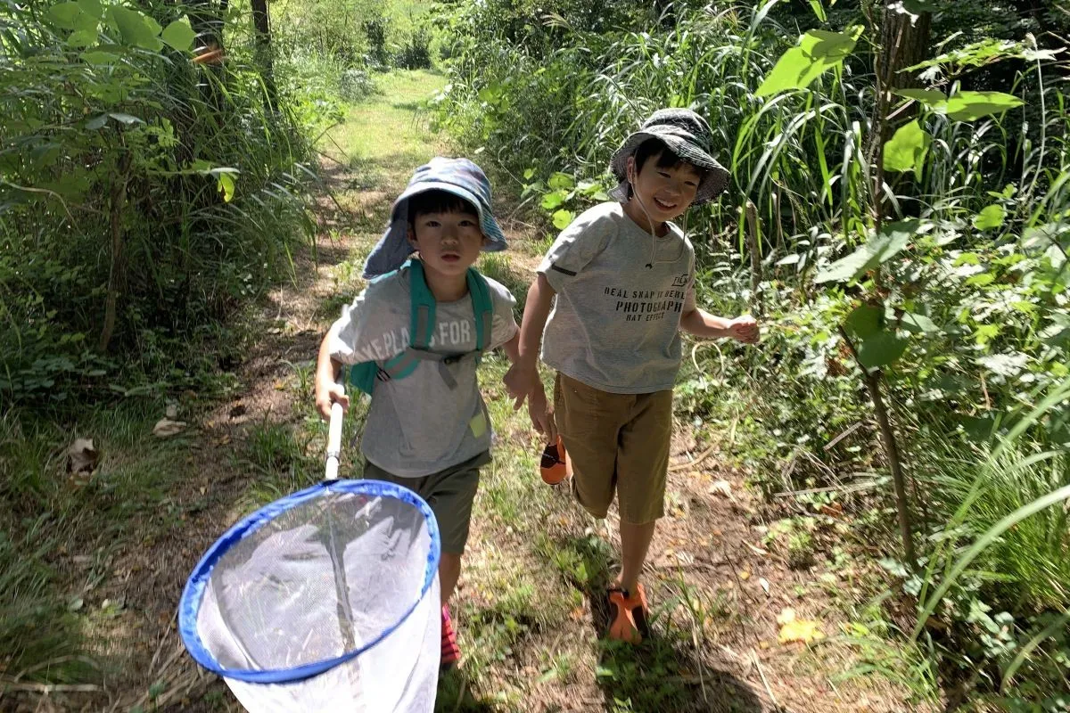 虫取り網を持った子ども2人が森の小道を歩く昆虫採集体験の様子。帽子着用で木々の中を探索中