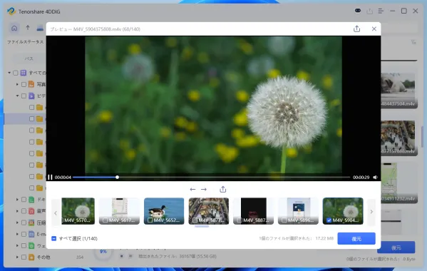 データスキャン中のプレビュー画面