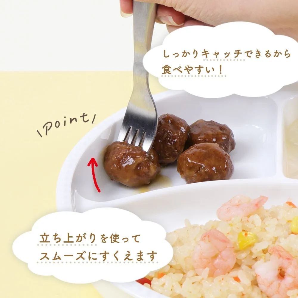 仕切り皿の断面、深さと仕切りの高さが確認できる
