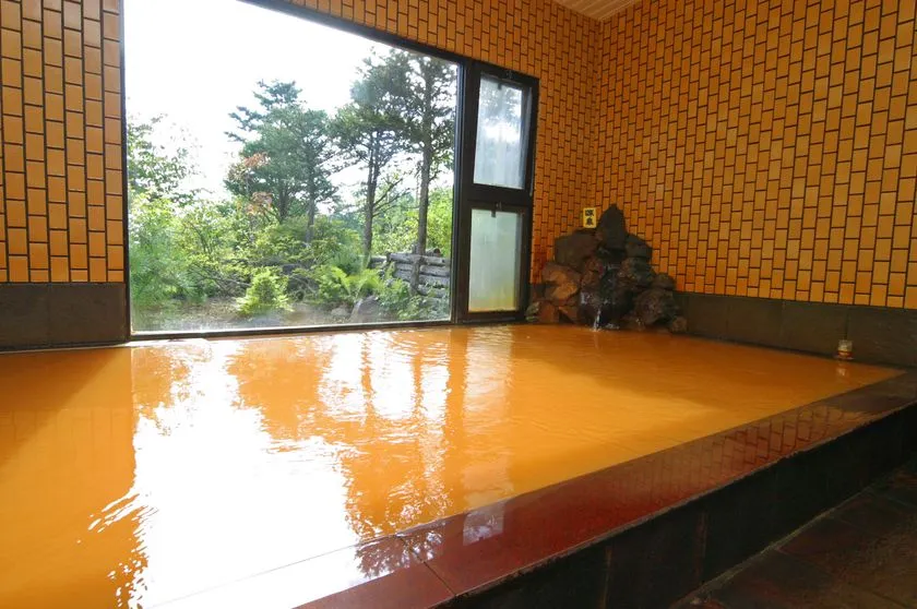 鉄分を含む茶褐色の濁り湯が満たされた内湯浴槽。黄色タイル張りの壁と大窓越しに緑の樹木が見え、浅間山麓エリアの温泉施設と判断できる室内写真