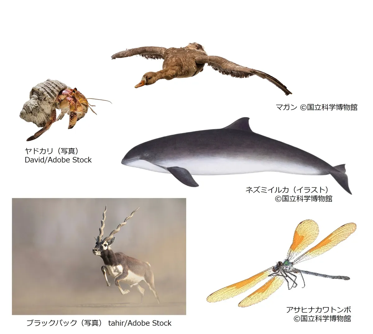 CHAPTER4「移動」の展示イメージ