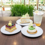 シェラトン・グランデ・トーキョーベイ・ホテル「トスティーナ」千葉×メロン スイーツ＆ベーカリー