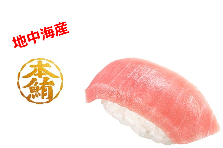 本鮪中とろ