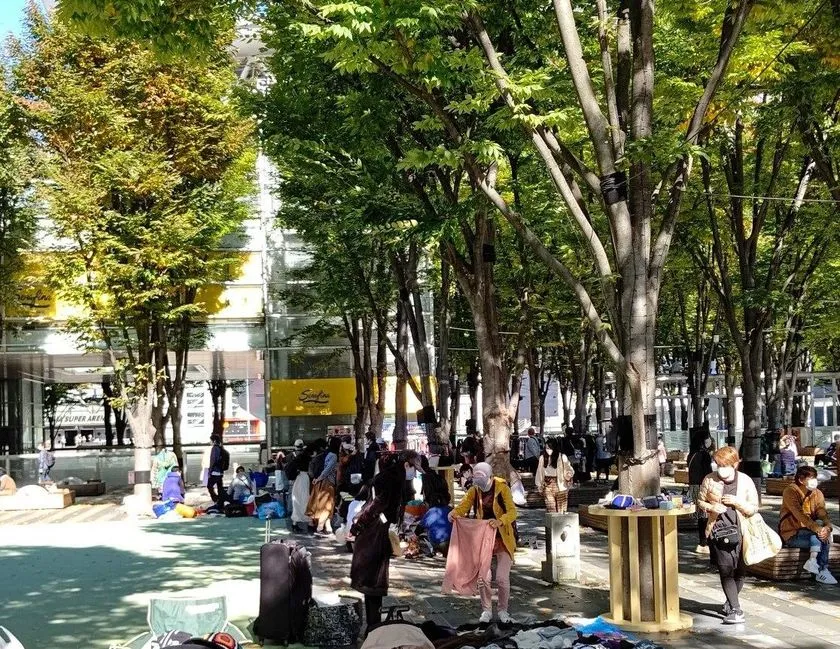 さいたま新都心けやきひろばの屋外エリアで多数の来場者が緑のケヤキ並木の木陰に集まりくつろいでいる昼間の全景写真。