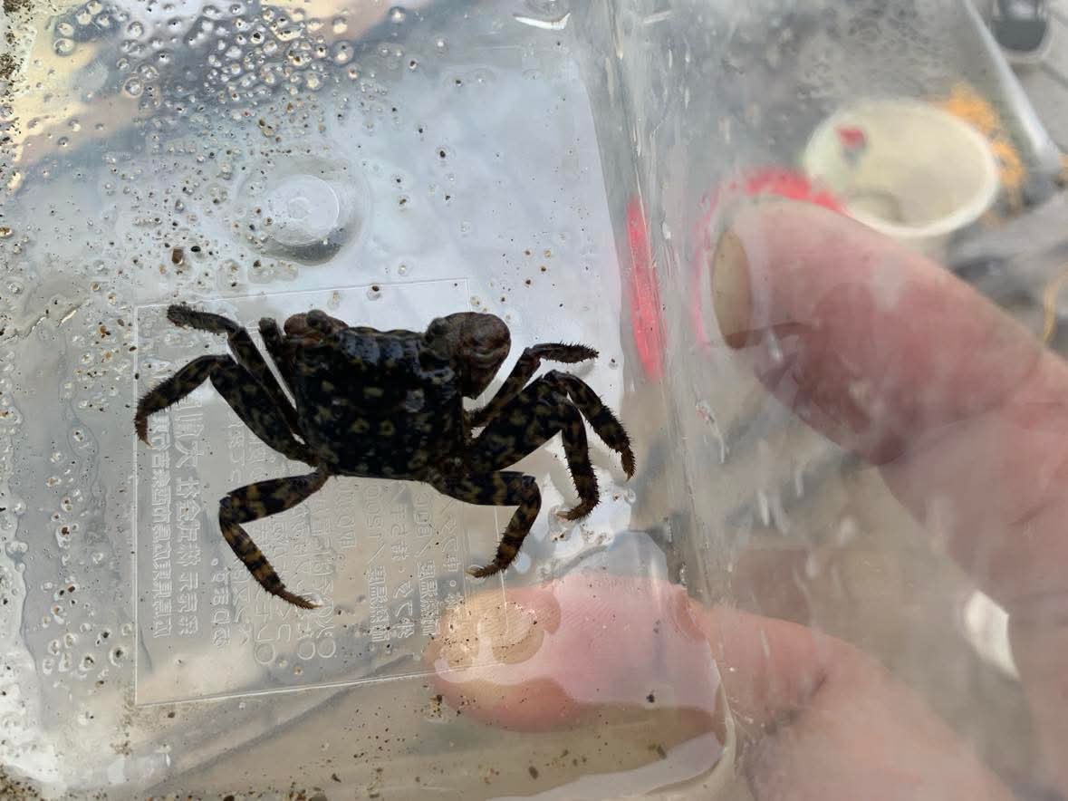 食とブルーシーフードから学ぶ、東京湾のいま3