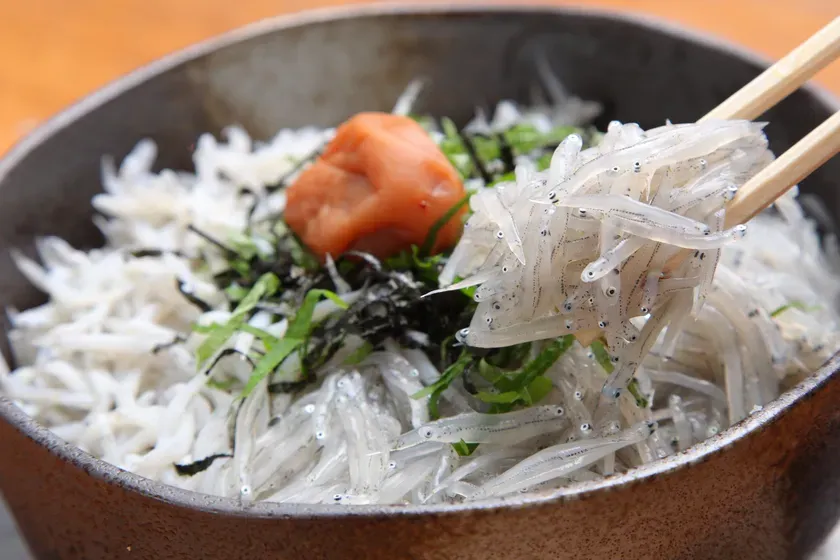 和歌浦名物「生しらす丼」