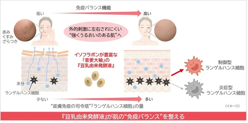 研究成果の概要