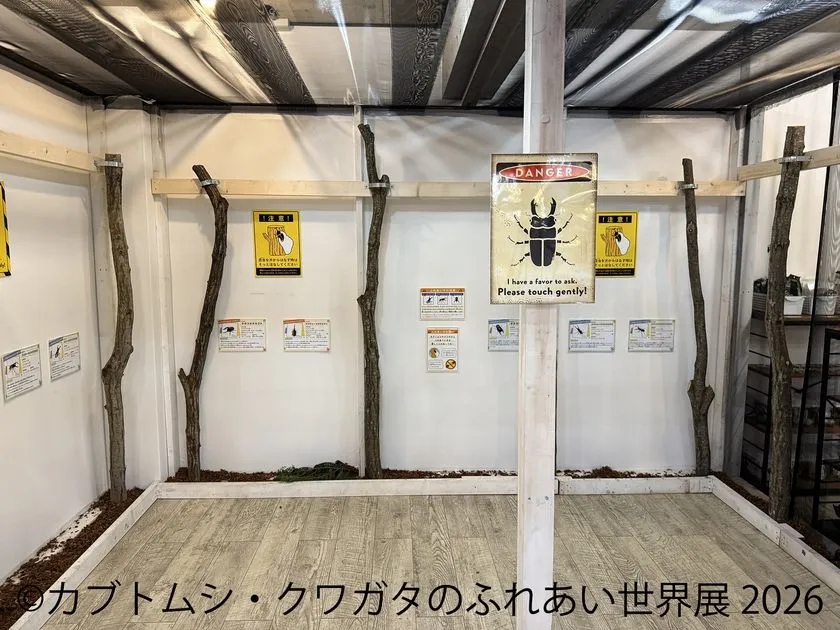 注意掲示付きの昆虫ふれあいブース