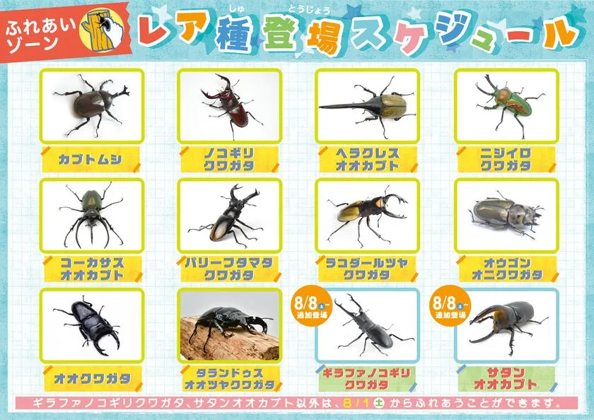 レア種登場スケジュール