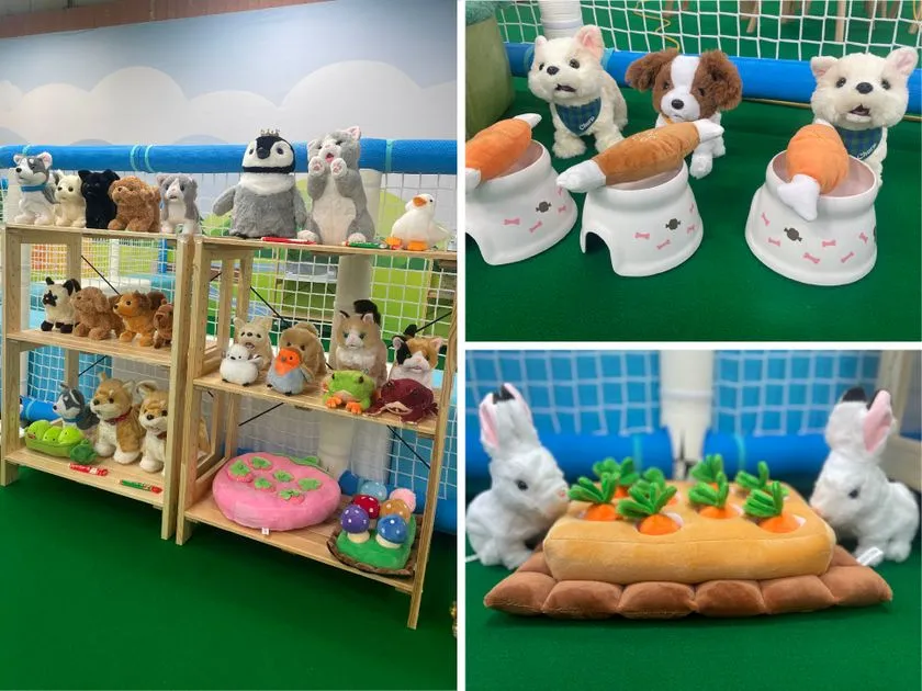 キッズランドUS茨城常総店の癒し動物園