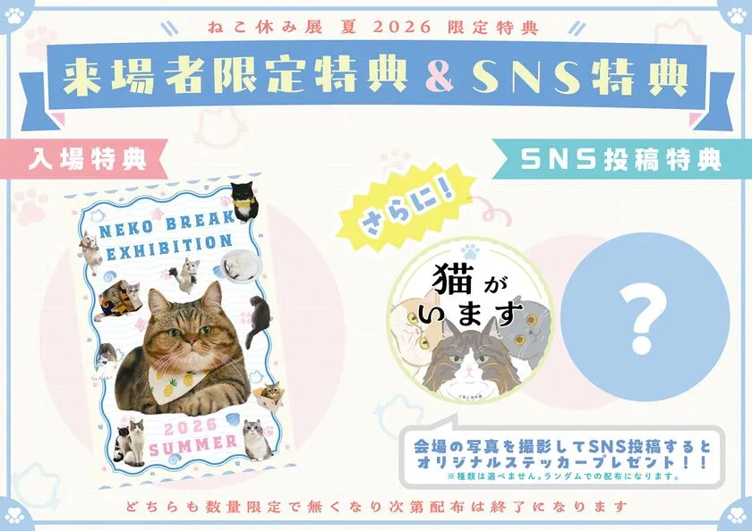 猫キャラクター アクリルスタンドとステッカーセット