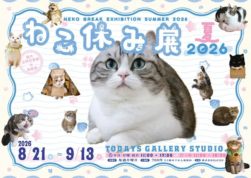 いすゞ堂 猫人形と招き猫風置物