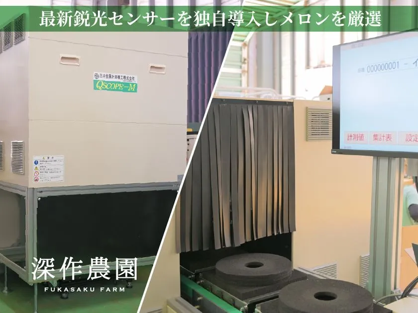 光センサー選果機器