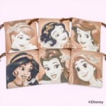ブラインド ランチ巾着M　ディズニープリンセス　全6種