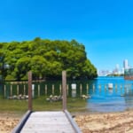 メズム東京、オートグラフ コレクション「五感でふれる、東京の海と干潟 ― 食とブルーシーフードから学ぶ、東京湾のいま ―」